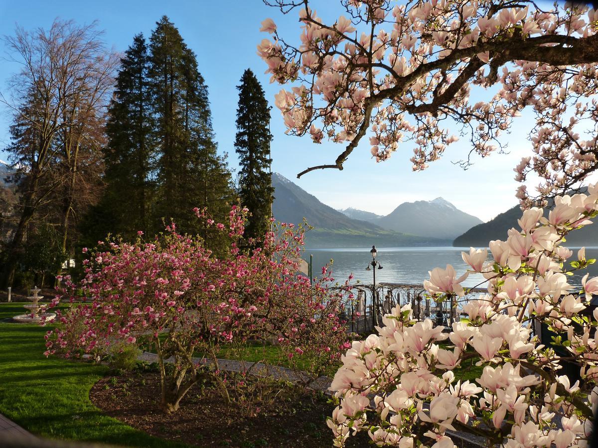 Hotel Vitznauerhof - Lifestyle Hideaway At Lake Lucerne ห้อง รูปภาพ